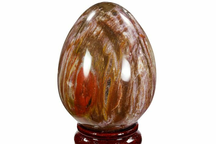Colorful, Polished Petrified Wood Egg - Triassic #107387